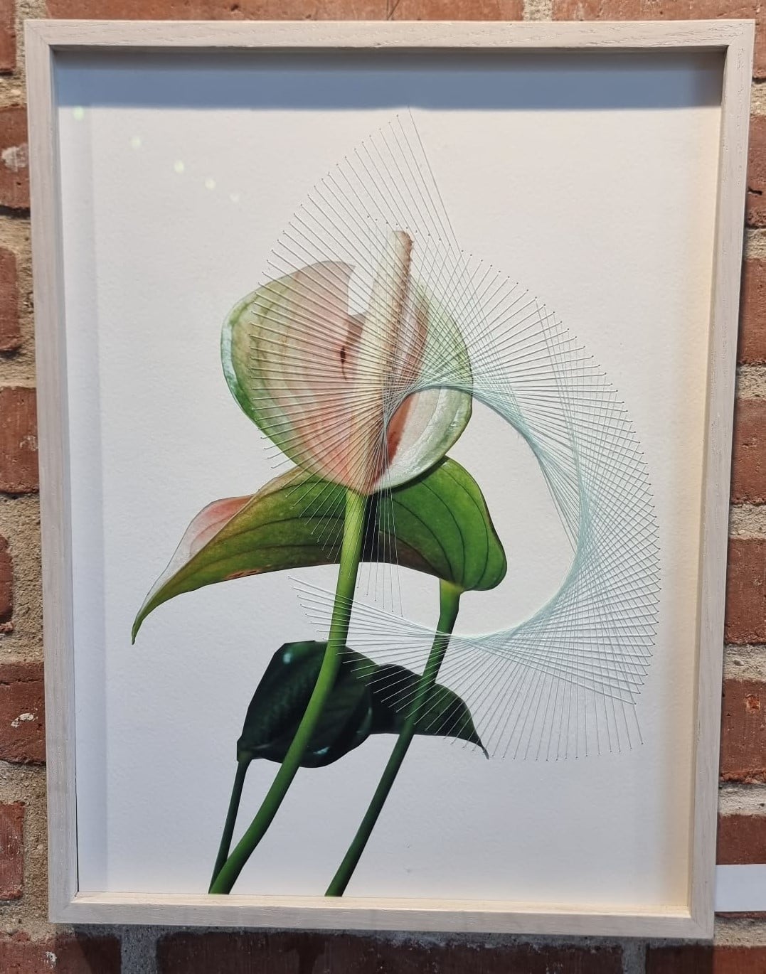 1. Lotte Agger
Mixed media - 42 x 32 cm